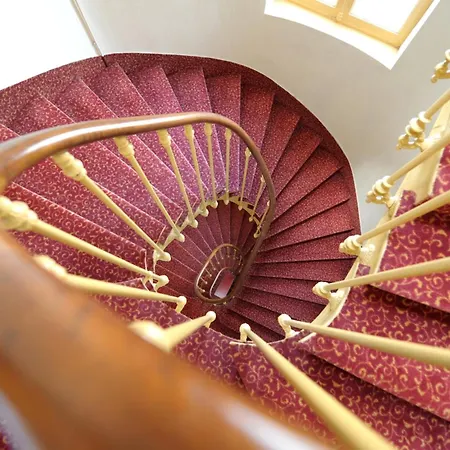 酒店 法兰西酒店 4*